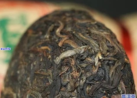 南涧的普洱茶怎么样