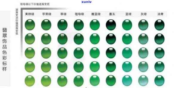 全面了解老庙翡翠质量、选购技巧及价值评估，让您的翡翠购物之旅更加顺利