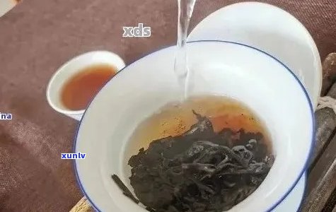 熟普洱茶冲泡的水：解答你的疑问