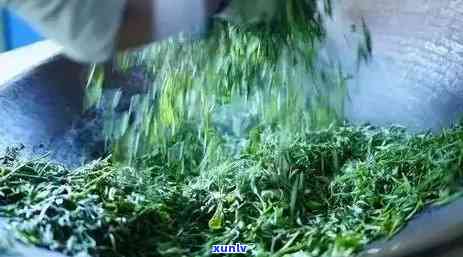 普洱茶的得名及 *** 工艺：探索这一名字背后的故事与发酵过程