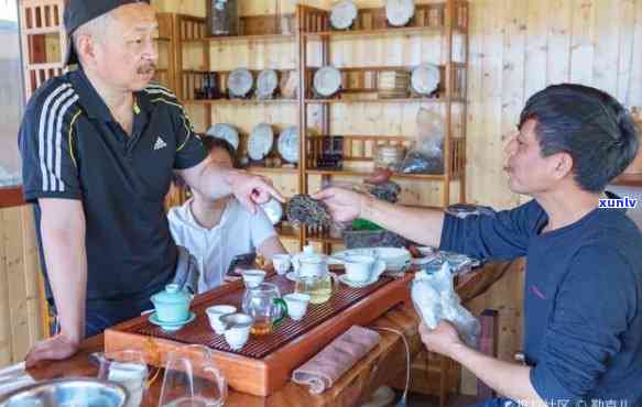 云南普庆号茶：传承古法，品质越的现代茶艺文化体验地