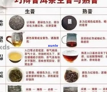 普洱茶品质与功效：有功者的选择？