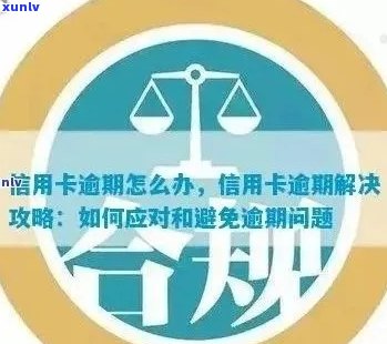 全面了解信用卡逾期查询 *** ：如何确认信用卡是否逾期以及相关操作指南