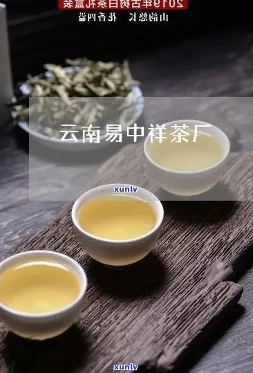 云南易中祥茶厂精选普洱茶，价格实，品质上乘