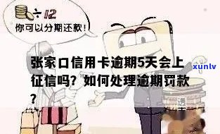 张家口信用卡逾期4天：后果、处理 *** 与影响详解