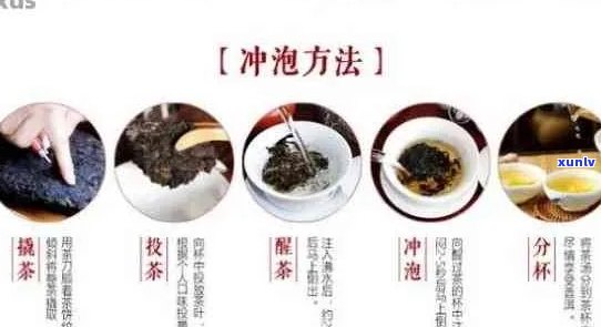 普洱茶最简单的泡法