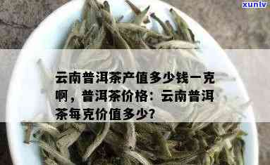 云南普洱茶的价格是多少？