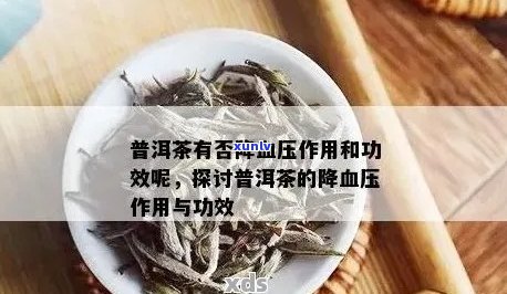 普洱茶对高血压的降压作用及其安全性解析：一份全面指南