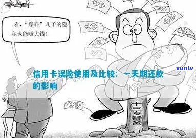 信用卡误险哪家好？如何使用？一天还款会有何影响？权益汇总！