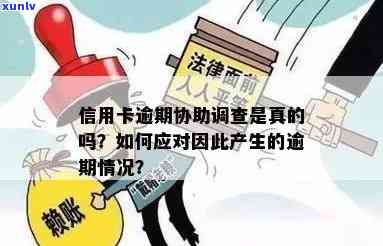 信用卡欠款逾期后，经侦部门何时会介入调查？如何避免不必要的法律问题？