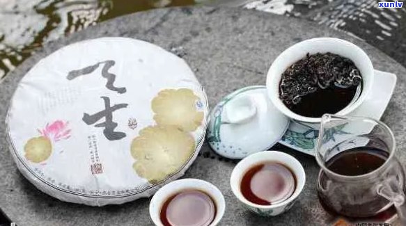 普洱茶的饮用适宜人群与禁忌：了解适合喝普洱茶的人群以及需要注意的事项