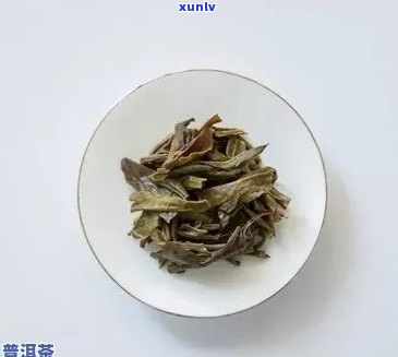 普洱茶：无梗正常吗？了解其与有梗茶叶的区别与选择