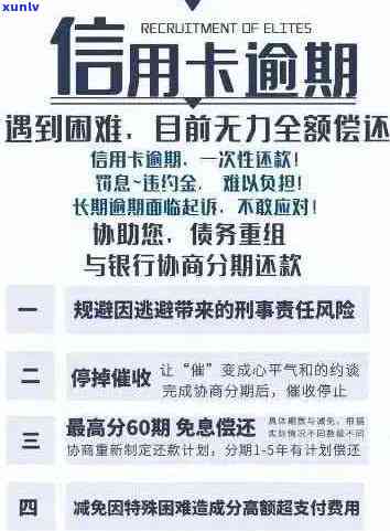 信用卡逾期账单分期还款：划算的选择还是隐形负担？