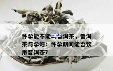 怀孕期间可以饮普洱茶吗？解析其影响与注意事项