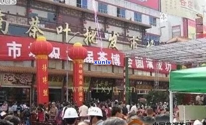 北海茶叶市场地址及品种汇总