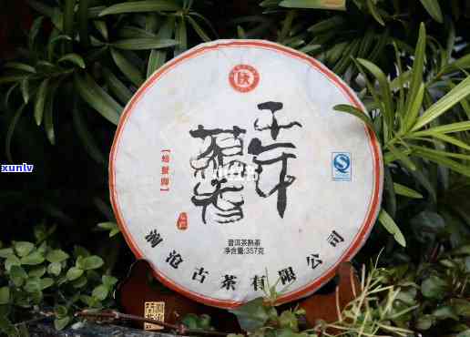 临沧祺丰源茶业-临沧祺丰源茶业2013年产的普洱生茶饼