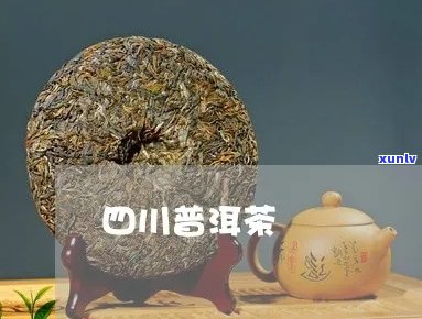 四川品质好的普洱茶