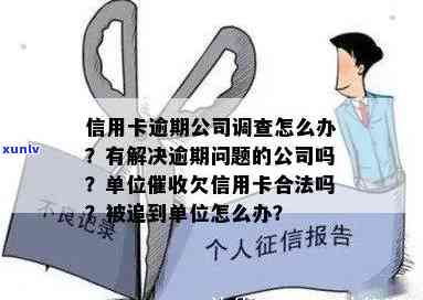 国外市场上是否存在普洱茶的制造与销售：全球视角下的普洱茶产销现状