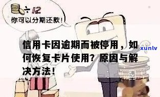 七彩云南普洱熟茶品鉴指南：详细价格表与购买建议