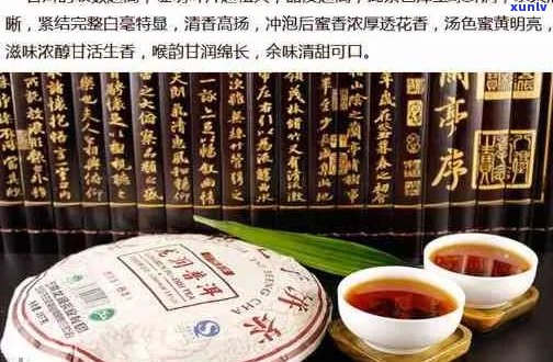 益普润普洱茶价格表