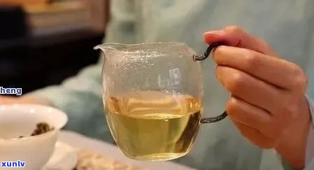 新 '普洱茶冲泡：一次需要放多少茶叶？',同时包含关键词普洱， 茶叶, 冲泡