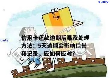 信用卡年费逾期还款，如何避免不良记录影响信用评分？