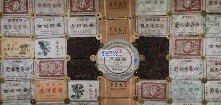 全面了解今大福普洱茶价格、品质与口感，轻松选购最适合您的茶叶！