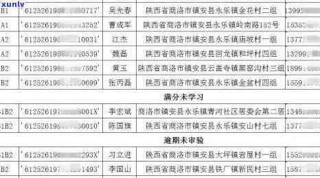 翡翠吊坠的多样性与选购指南