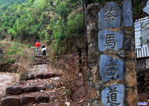 普洱茶马古道十里春