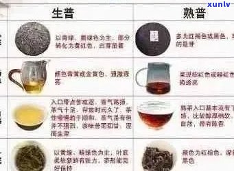 普洱茶的多种功效及其适用人群解析