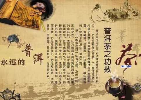 普洱茶的多种功效及其适用人群解析