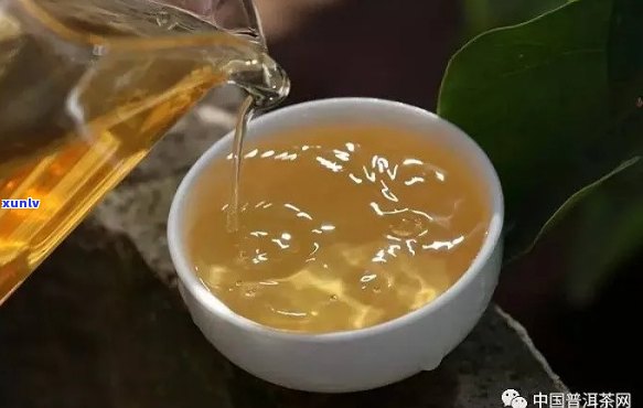 60元一个的普洱茶：品质与口感的两难抉择