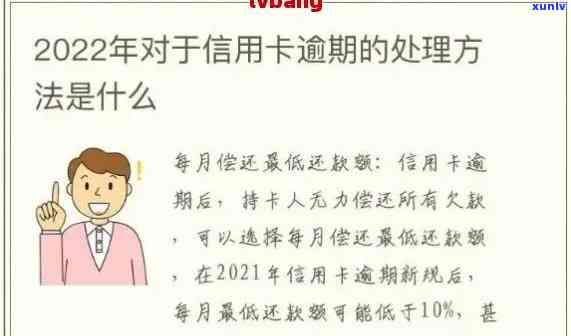 信用卡逾期还款策略：如何减少利息负担并避免罚息？