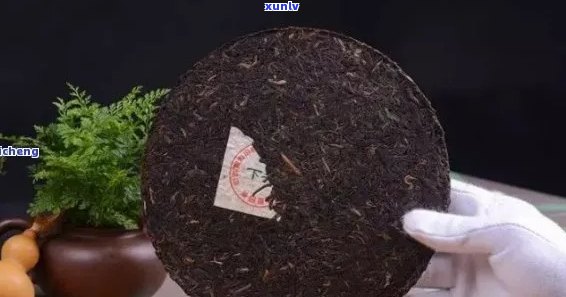 俊峻牌普洱茶口感与价格解析：好喝吗？多少钱？