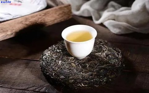 糯普洱茶简介：口感特点与古树普洱茶的区别