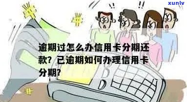 已经逾期的信用卡如何办理分期还款业务-已经逾期的信用卡如何办理分期还款业务