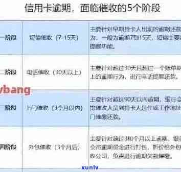 全面解析信用卡逾期还款计息规则：了解逾期利息、罚息和复利等关键要素