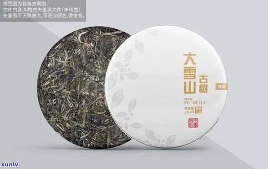 号普洱茶大雪山