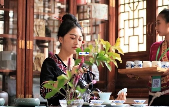 七彩云南普洱茶：品茗宴，探索千年秘境与文化传承