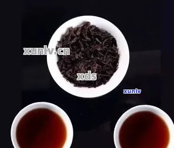 普洱茶：生茶与熟茶的品质对比，哪种更适合您的口味？