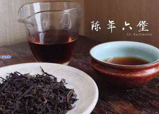 普洱茶六堡茶一起泡