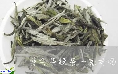 普洱茶投茶一克行吗