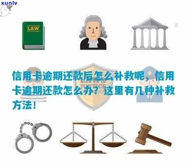 逾期信用卡补办攻略：错过还款期还有救吗？