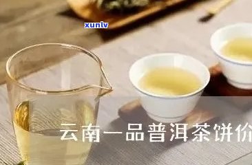 普洱茶一品茶多少钱