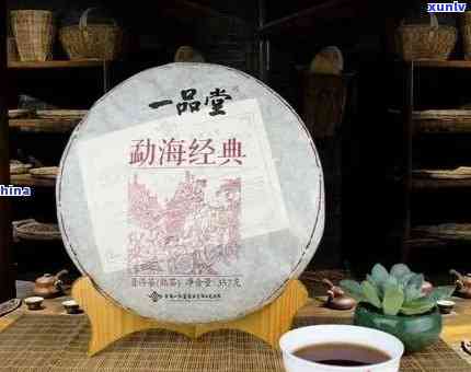 云南一品堂茶业老茶头：探索百年古树普洱茶的魅力与传承