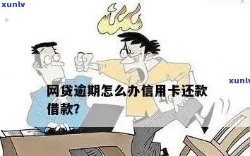 新 '逾期还款的信用卡和网贷会带来哪些后果？如何避免？'