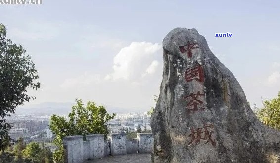 普洱茶之一县是哪个？普洱茶之一村，中国普洱茶之一村在什么地方？