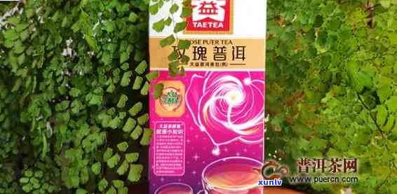 益原素普洱茶饮料价格是多少？一瓶饮料的售价及购买渠道解析