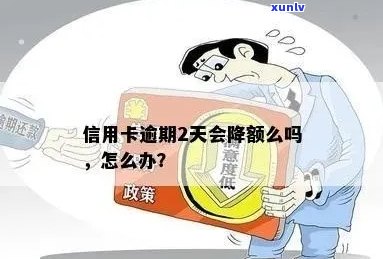 信用卡逾期不影响额度