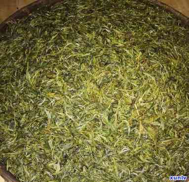 普洱茶芽头数量对茶叶品质的影响：多还是少？